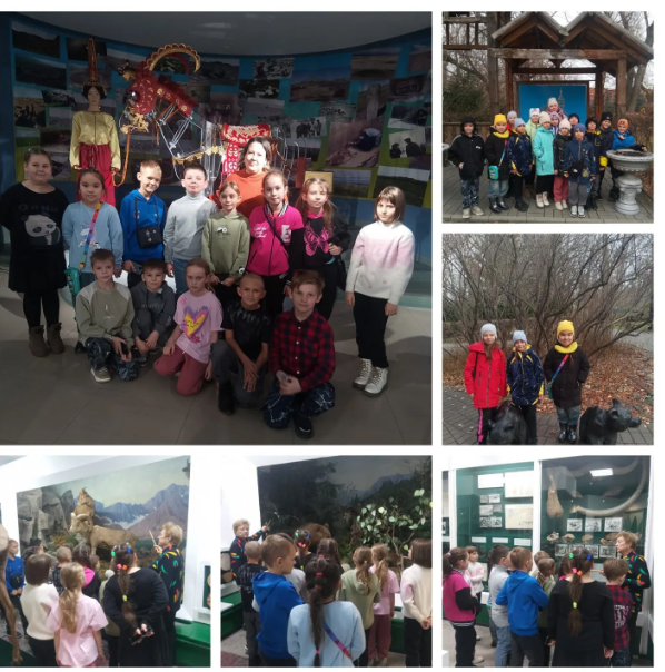 Экскурсия в областной истоико-краеведческий музей: Уроки истории и природы.